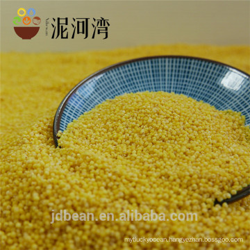 Broom Corn Millet Hulled for sale